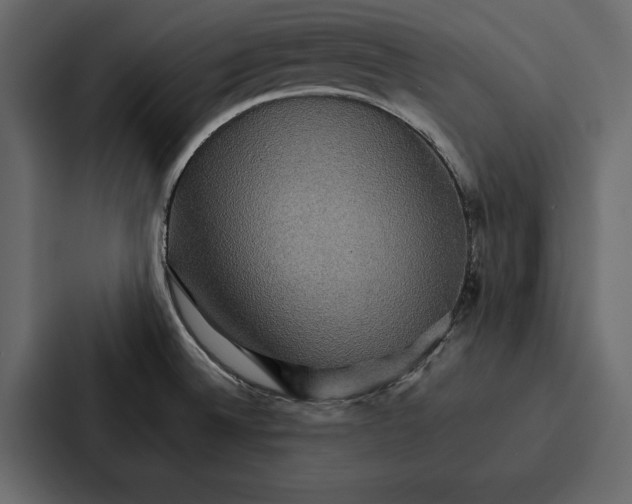 X0000086791524200705111805