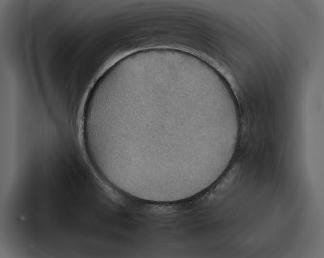 X0000086791525200705111805