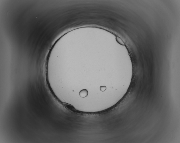 X0000086791526200705111805