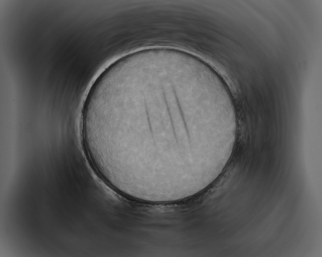 X0000086791527200705111805