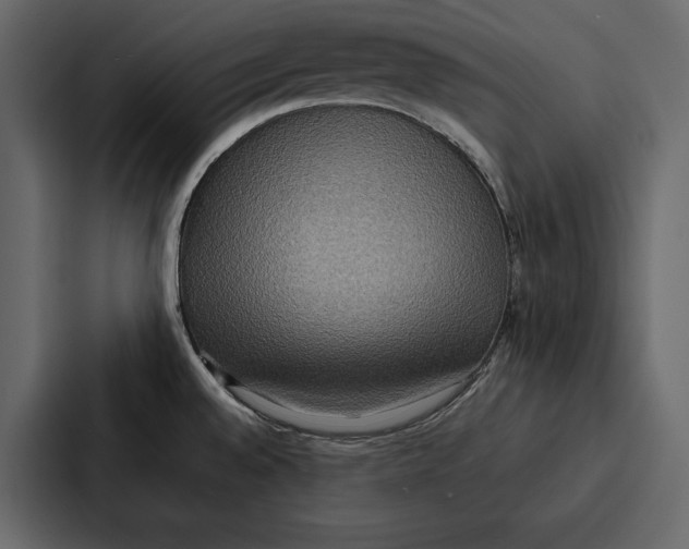 X0000086791528200705111805