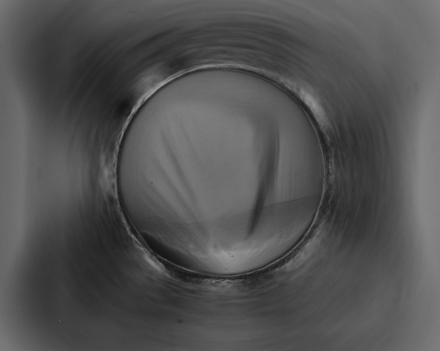 X0000086791529200705111805