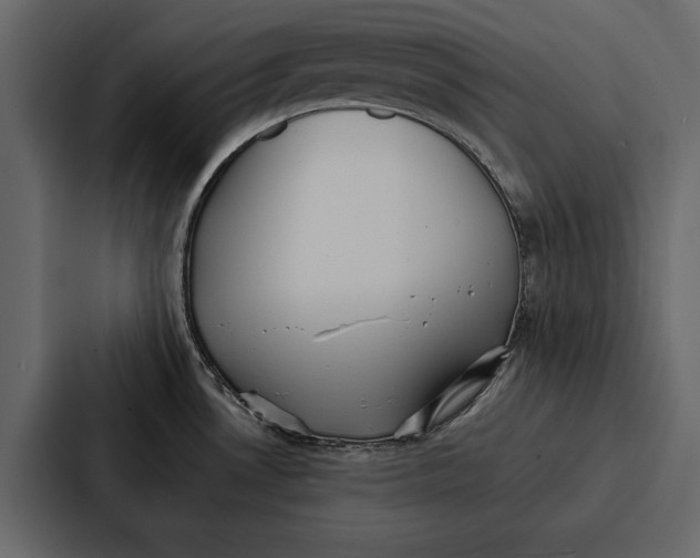 X0000086791530200705111805