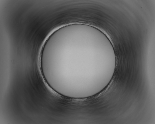 X0000086791531200705111805