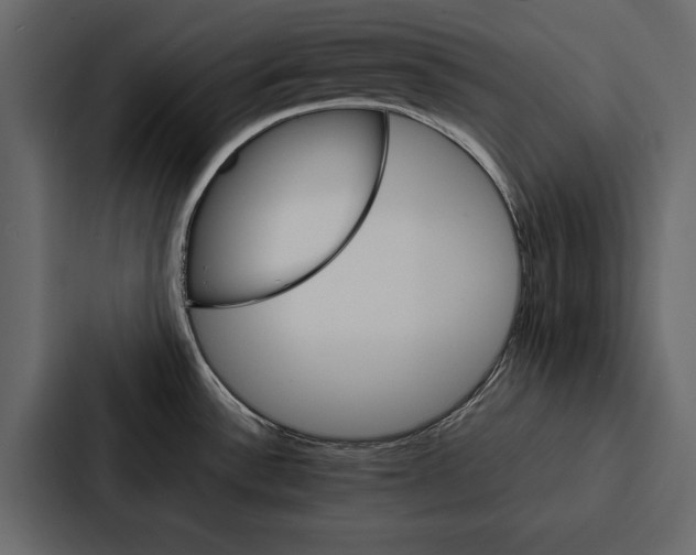 X0000086791532200705111805