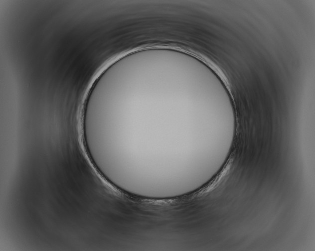 X0000086791533200705111805