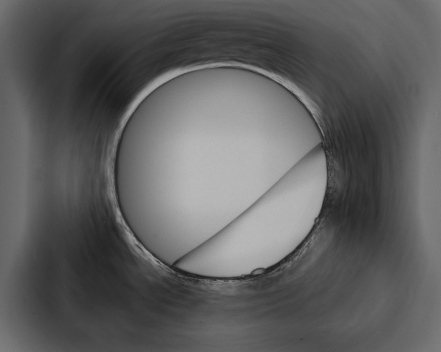 X0000086791534200705111805