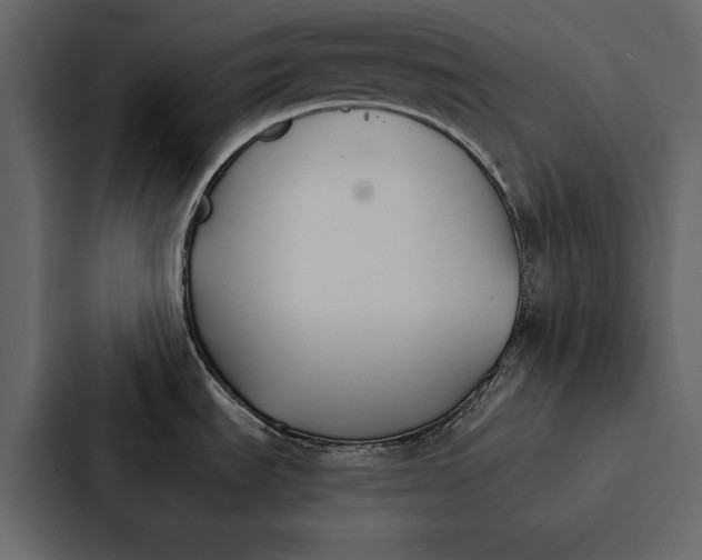 X0000086791535200705111805