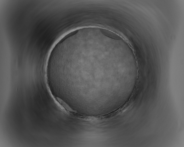 X0000086791536200705111805