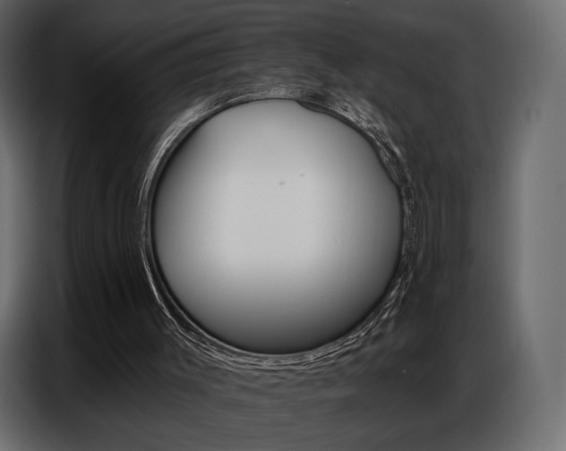 X0000086800003200704130911