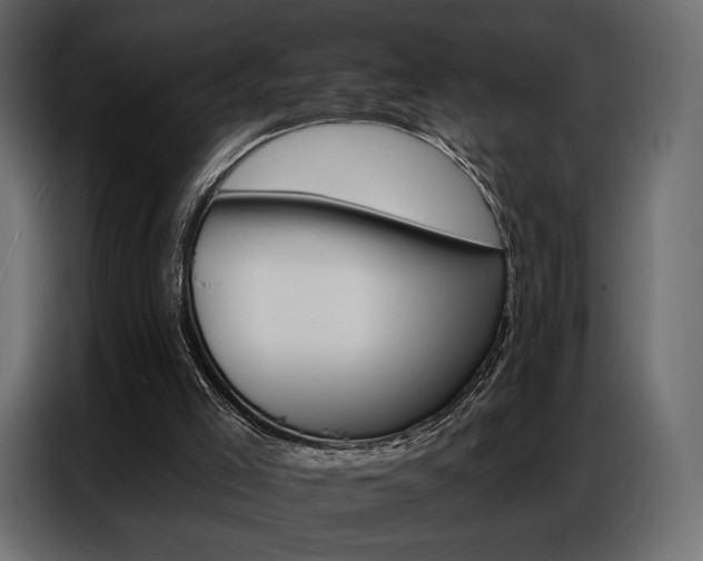 X0000086800005200704130911