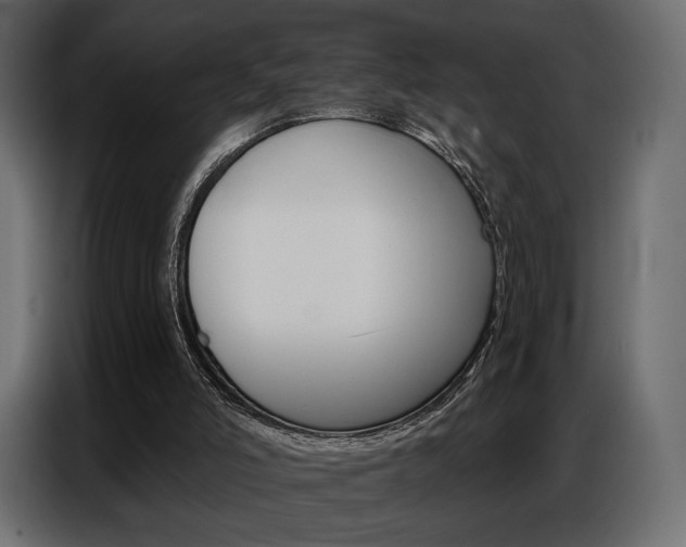X0000086800006200704130911