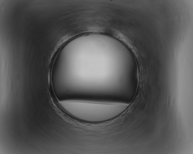 X0000086800011200704130910