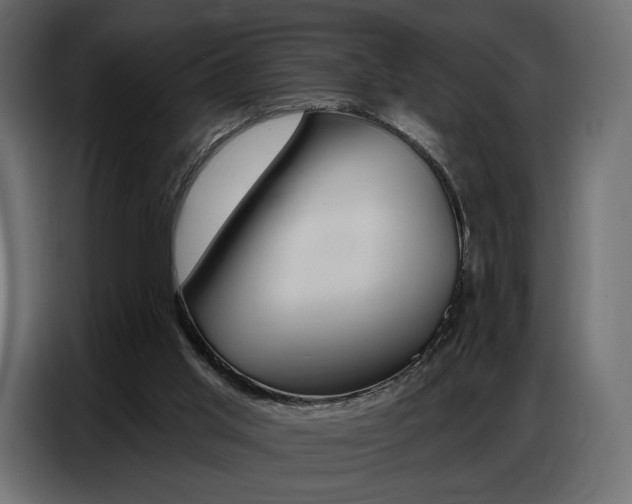 X0000086800013200704130910