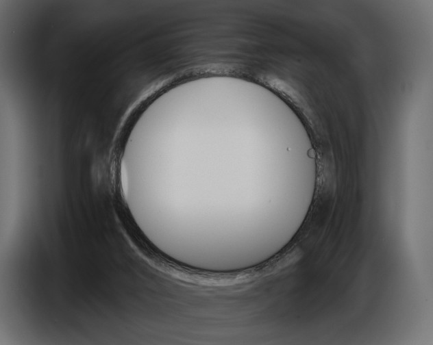 X0000086800016200704130910