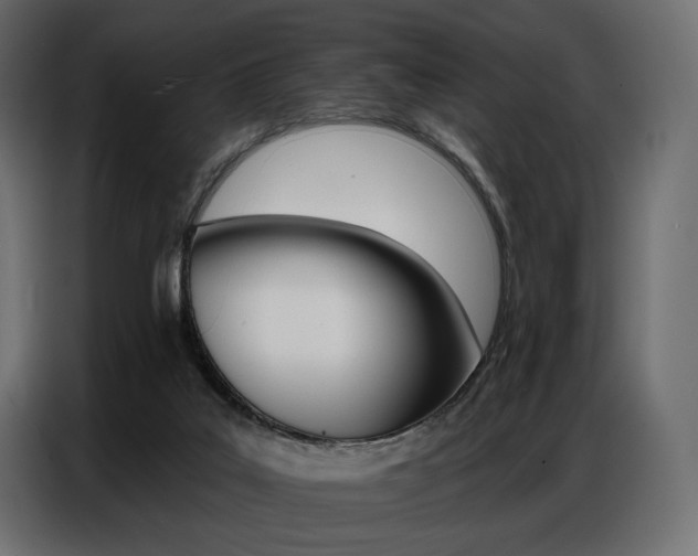 X0000086800019200704130910