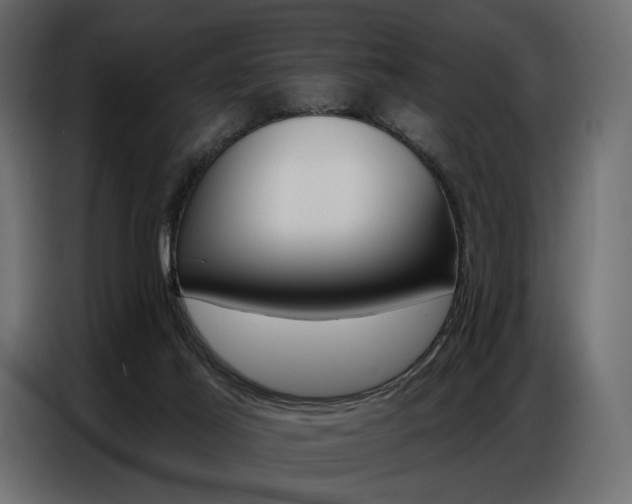 X0000086800021200704130910