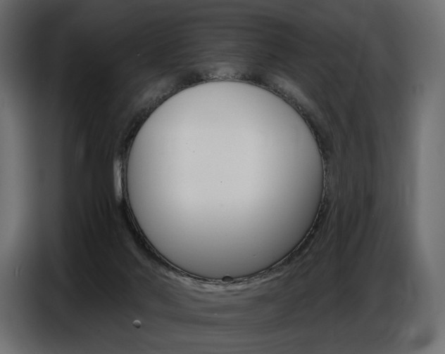 X0000086800022200704130910