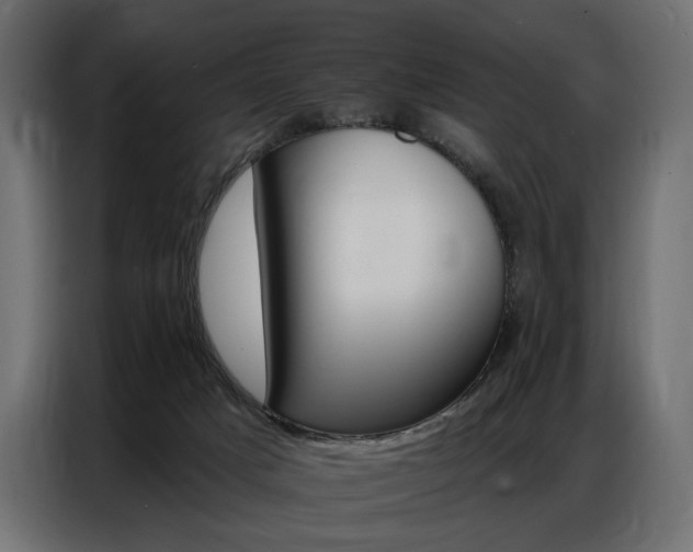 X0000086800025200704130910