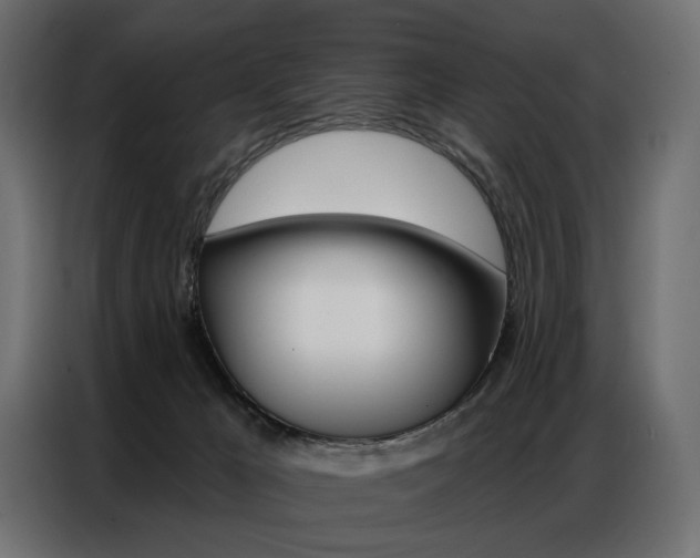 X0000086800029200704130910