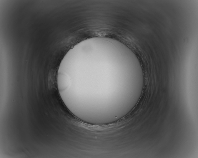 X0000086800030200704130910