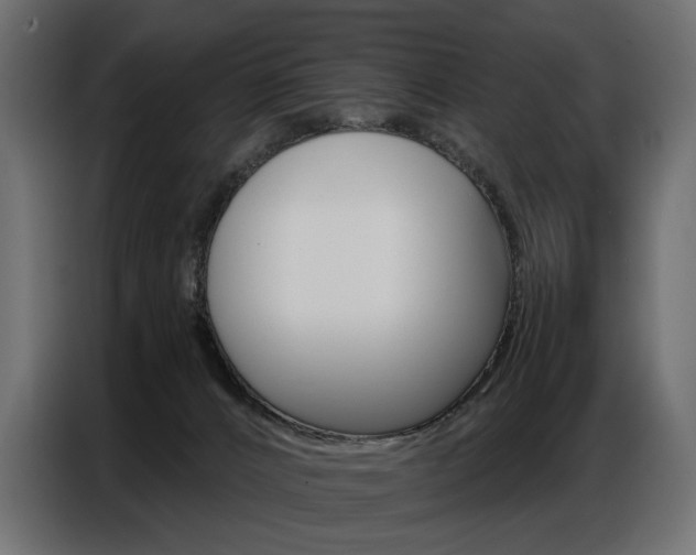 X0000086800032200704130910