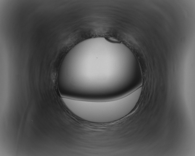 X0000086800033200704130910
