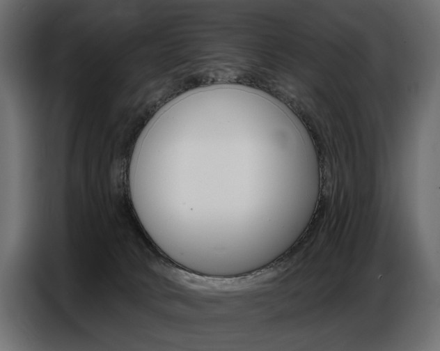 X0000086800034200704130910