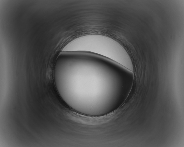 X0000086800035200704130910
