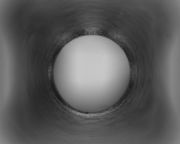 X0000086800038200704130910