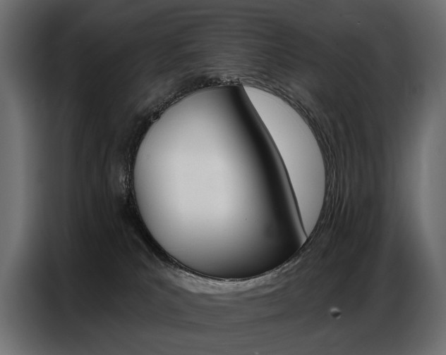 X0000086800039200704130910