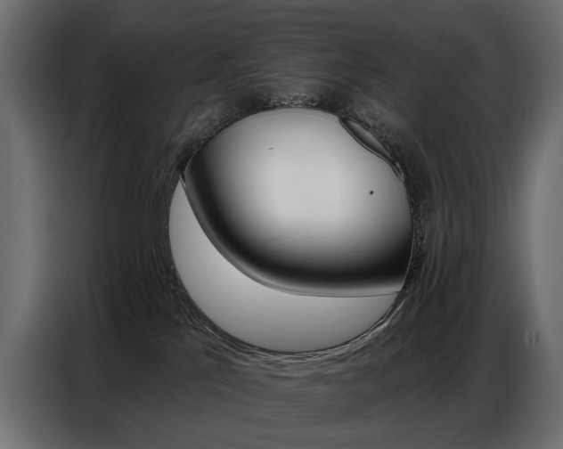 X0000086800041200704130910