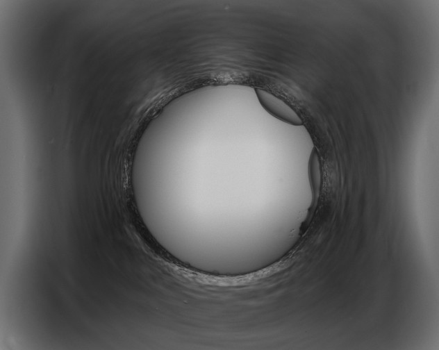 X0000086800043200704130910