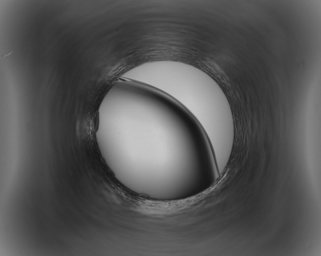 X0000086800045200704130910