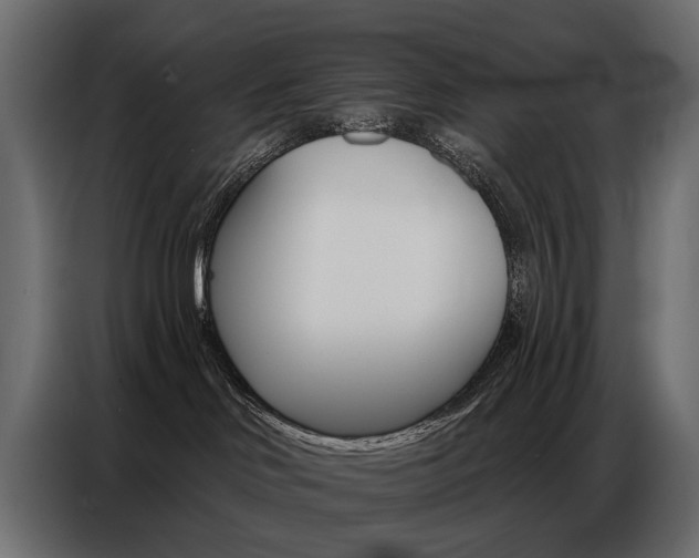 X0000086800046200704130910