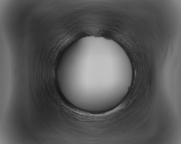 X0000086800048200704130910