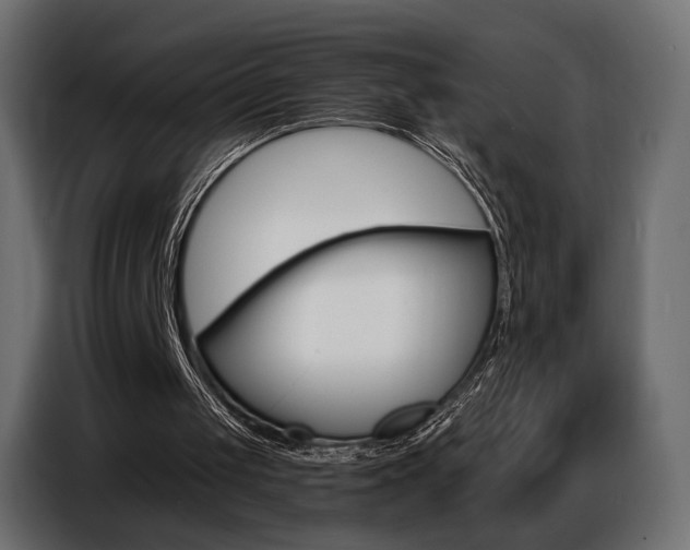 X0000086800049200704130909