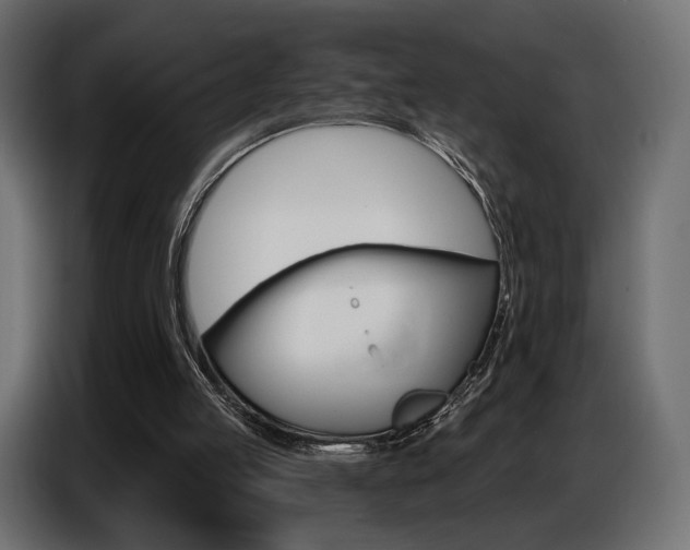 X0000086800053200704130909