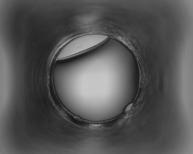 X0000086800055200704130909