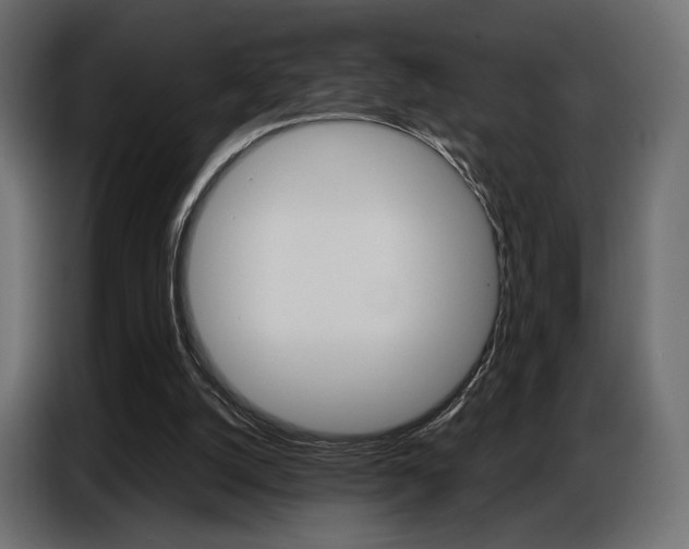 X0000086800056200704130909