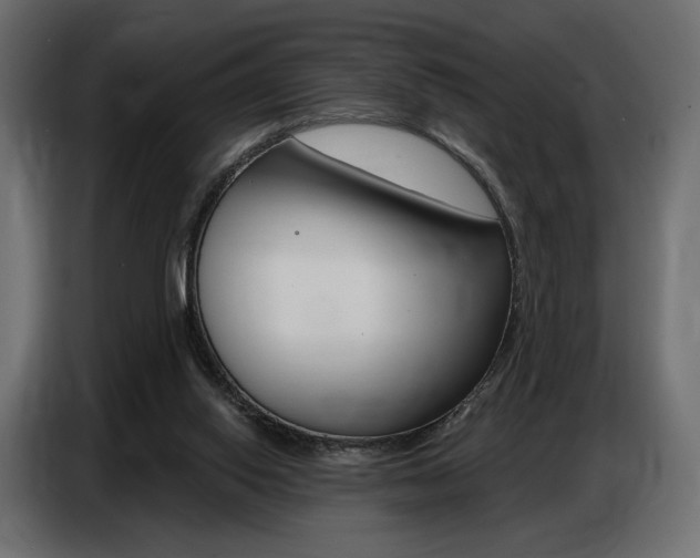 X0000086800062200704130909