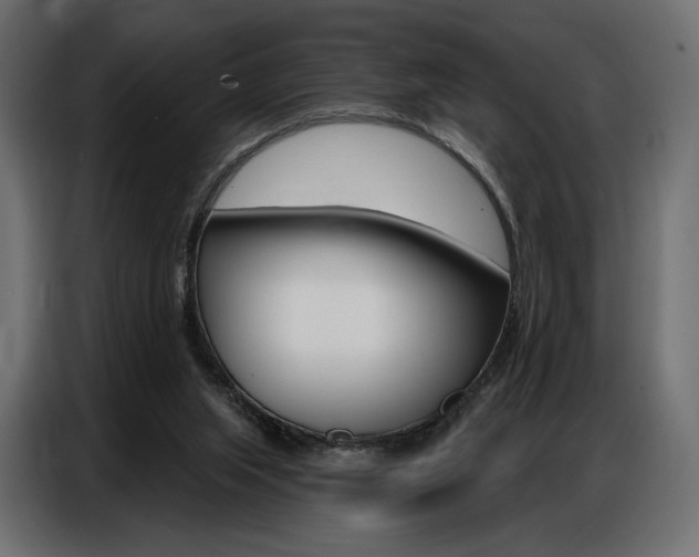 X0000086800063200704130909