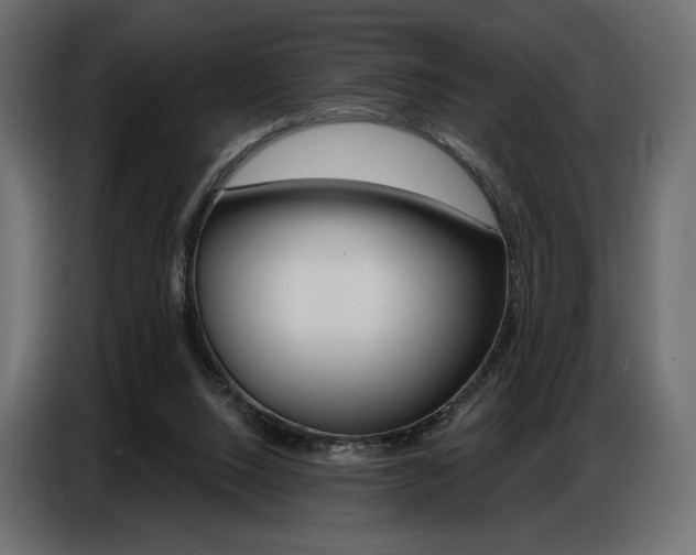 X0000086800064200704130909