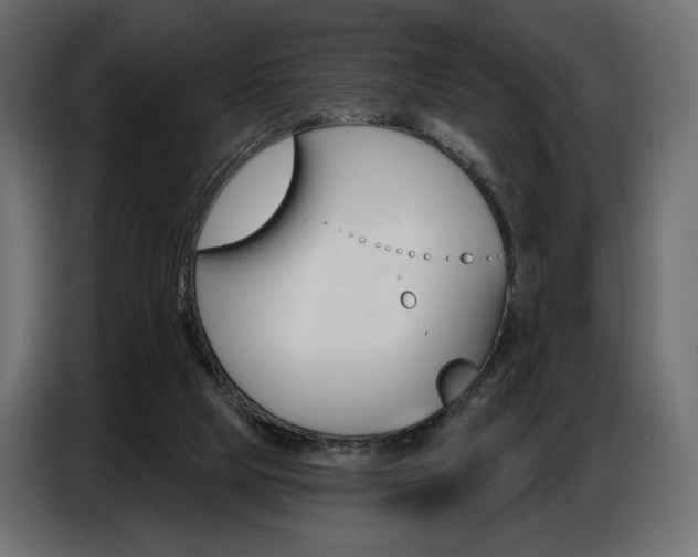 X0000086800065200704130909