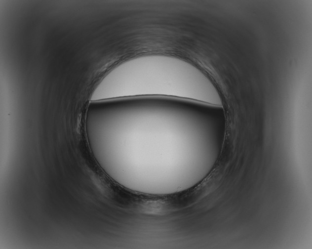 X0000086800066200704130909