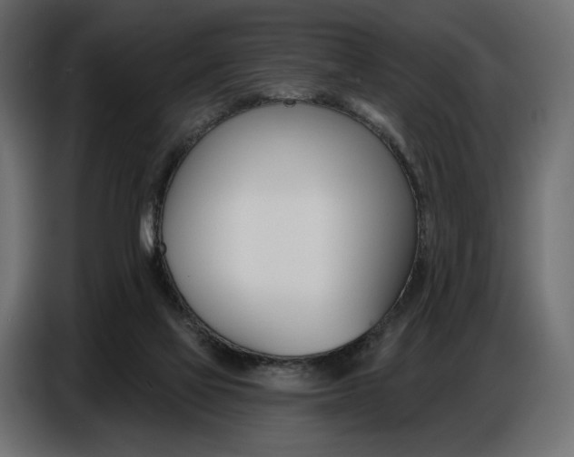 X0000086800069200704130909