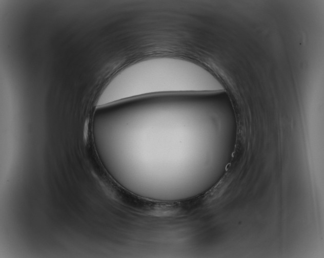 X0000086800070200704130909