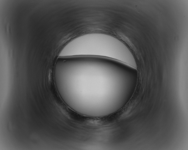 X0000086800071200704130909