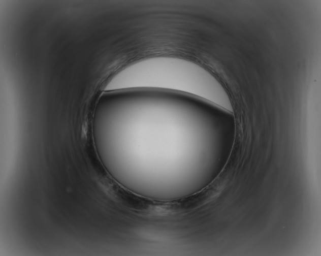 X0000086800072200704130910
