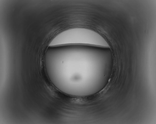 X0000086800074200704130910